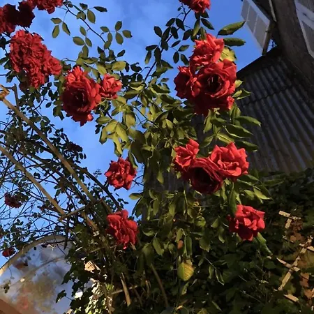 Comme Maison, Duplex Terrasse Hypercentre De Lejlighed