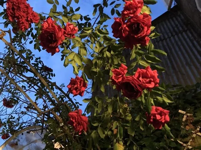 Comme Maison, Duplex Terrasse Hypercentre De アパート