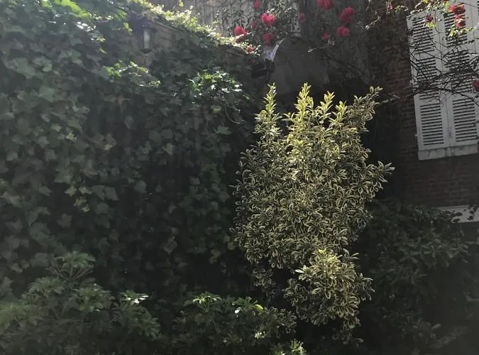 Comme Maison, Duplex Terrasse Hypercentre De アパート *